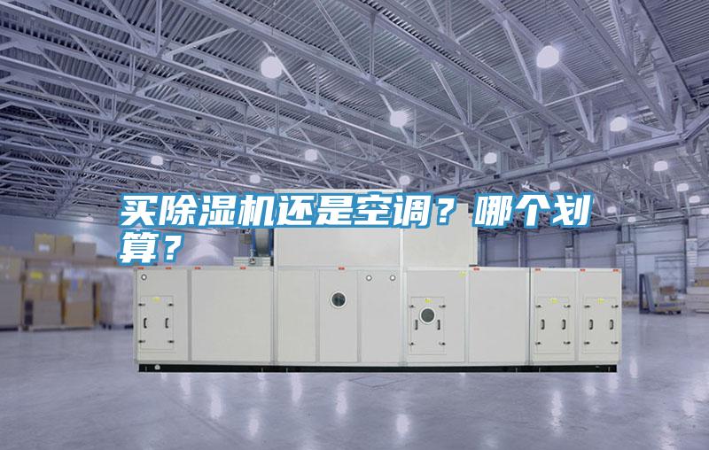 買除濕機還是空調?哪個劃算?