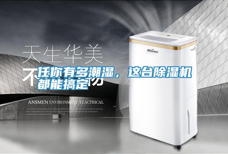 任你有多潮濕,這臺除濕機都能搞定