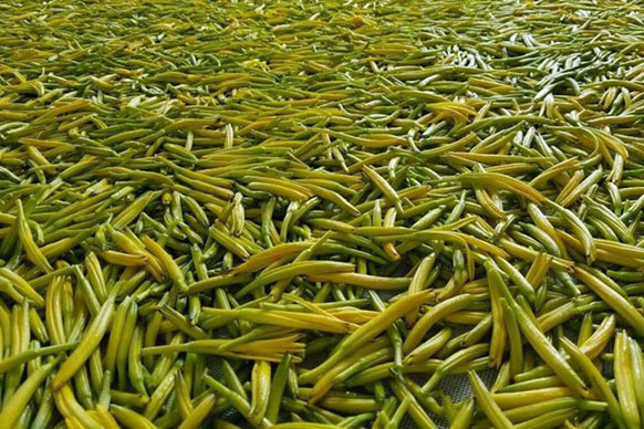 無硫金針菜烘干如何保持品相?不發黑?