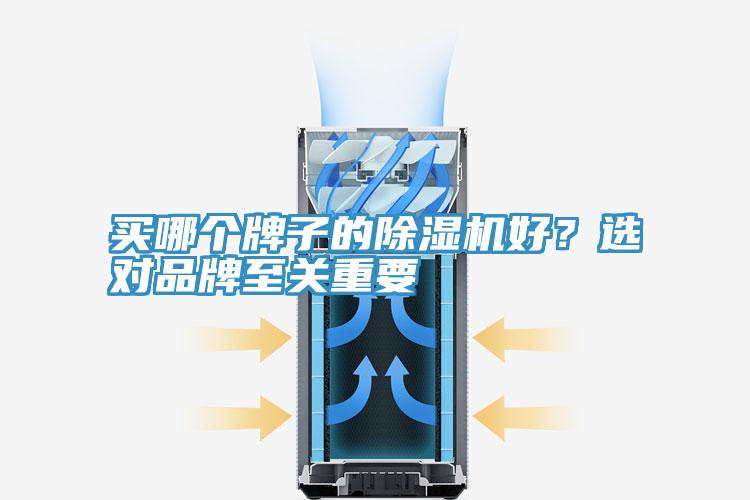 買哪個牌子的除濕機(jī)好?選對品牌至關(guān)重要