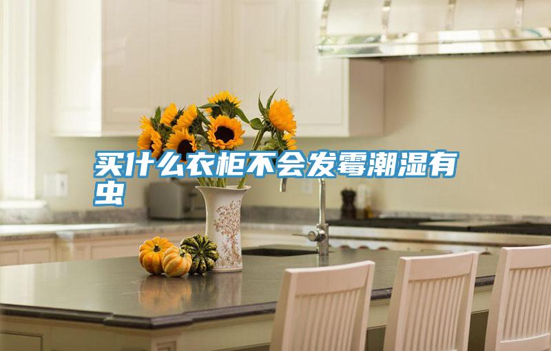 買(mǎi)什么衣柜不會(huì)發(fā)霉潮濕有蟲(chóng)