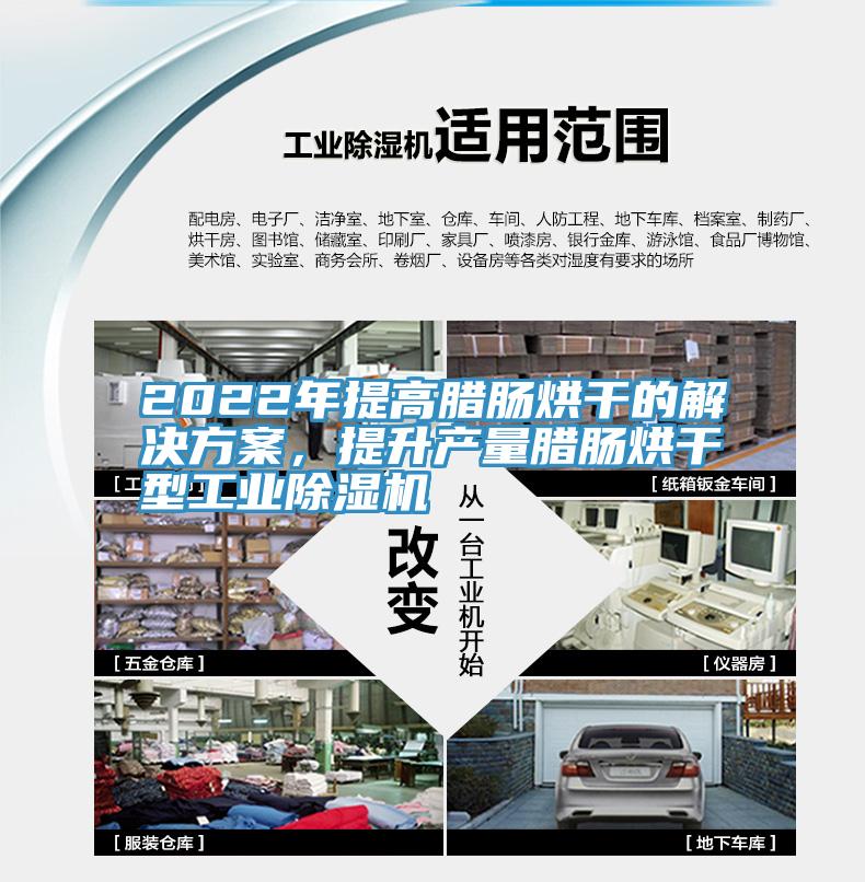 2022年提高臘腸烘干的解決方案，提升產量臘腸烘干型工業除濕機