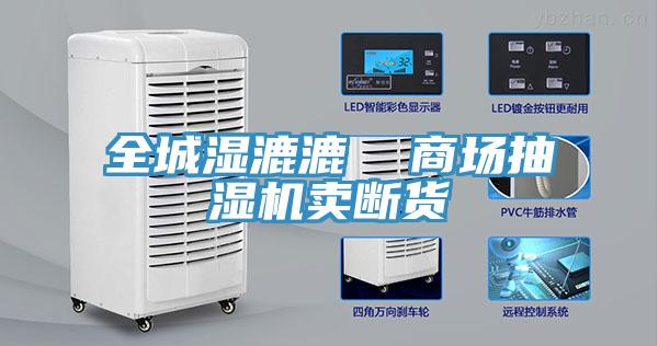 全城濕漉漉 商場(chǎng)抽濕機(jī)賣斷貨