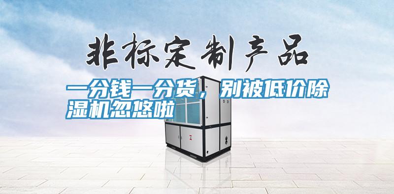 一分錢一分貨,別被低價(jià)除濕機(jī)忽悠啦
