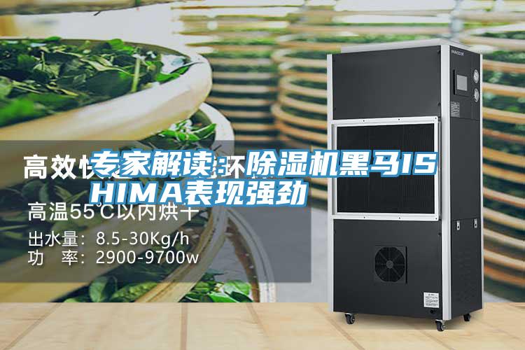 專家解讀:除濕機黑馬ISHIMA表現強勁