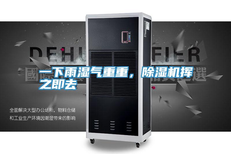 一下雨濕氣重重,除濕機(jī)揮之即去