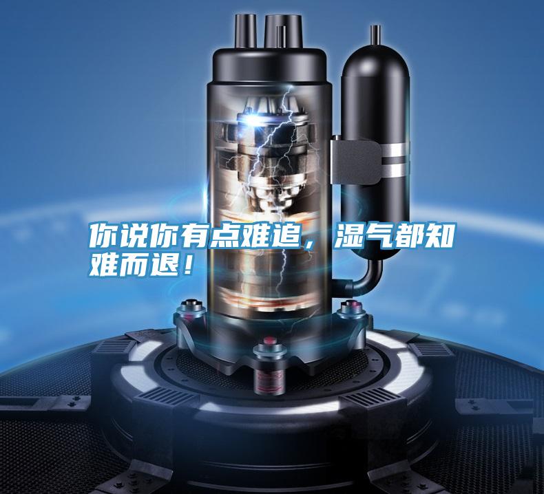 你說你有點難追,濕氣都知難而退!