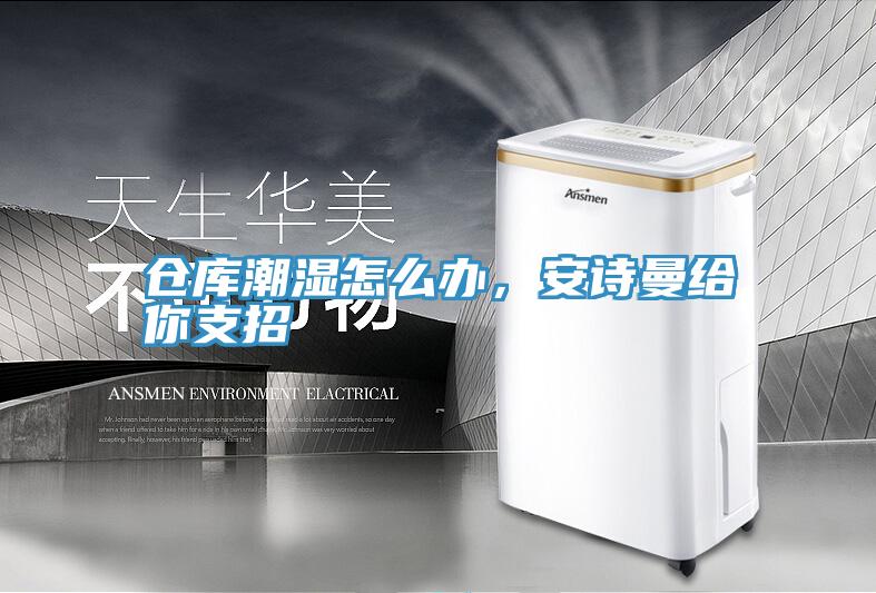 倉庫潮濕怎么辦,安詩曼給你支招