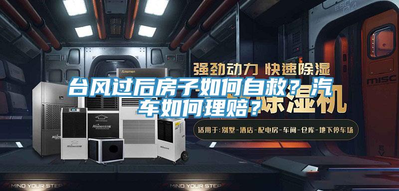 臺風過后房子如何自救？汽車如何理賠？