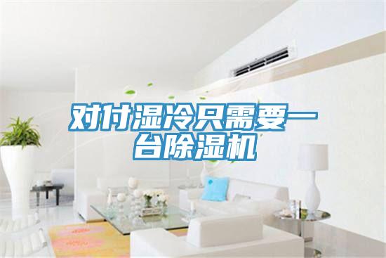 對(duì)付濕冷只需要一臺(tái)除濕機(jī)
