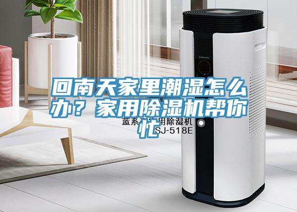 回南天家里潮濕怎么辦？家用除濕機幫你忙