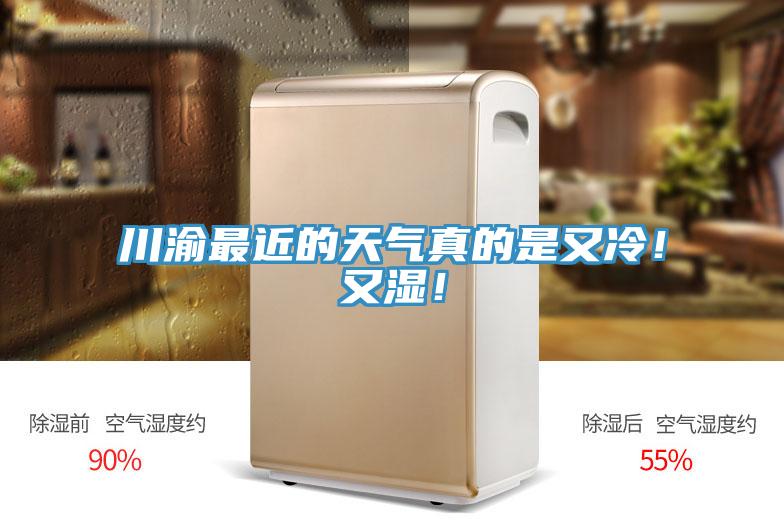 川渝最近的天氣真的是又冷！又濕！