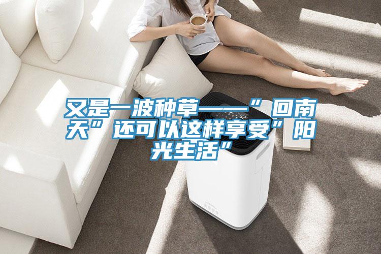 又是一波種草——”回南天”還可以這樣享受”陽光生活”