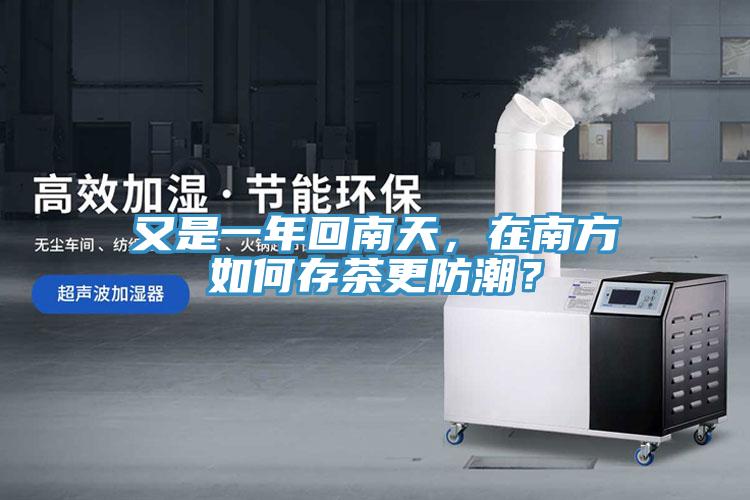 又是一年回南天,在南方如何存茶更防潮?