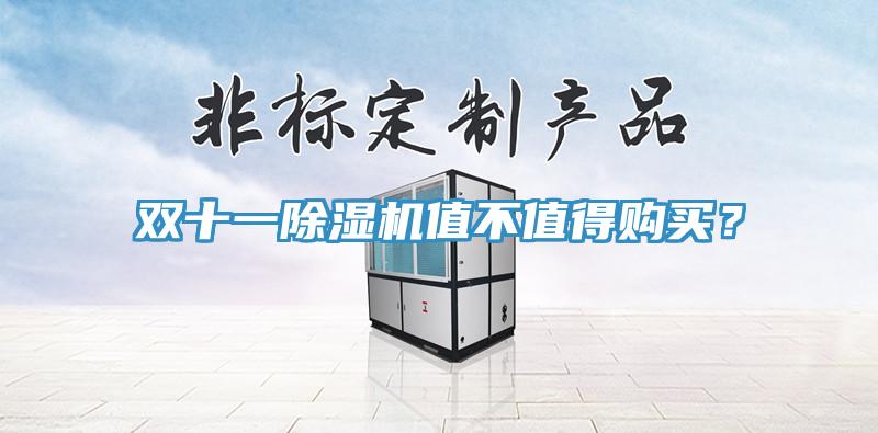 雙十一除濕機值不值得購買？