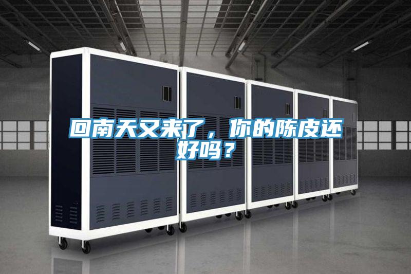 回南天又來了,你的陳皮還好嗎?