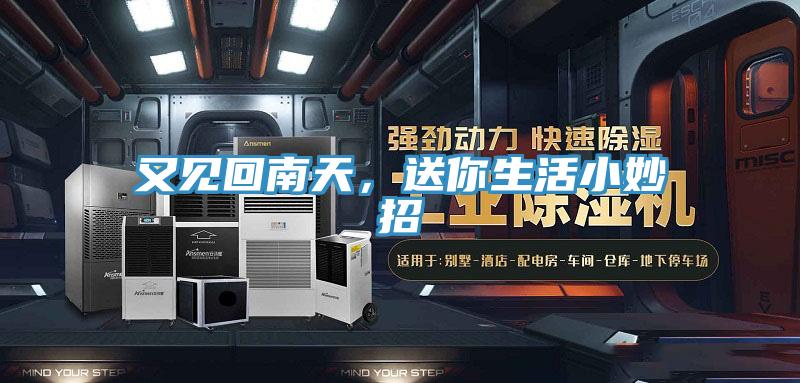 又見回南天，送你生活小妙招