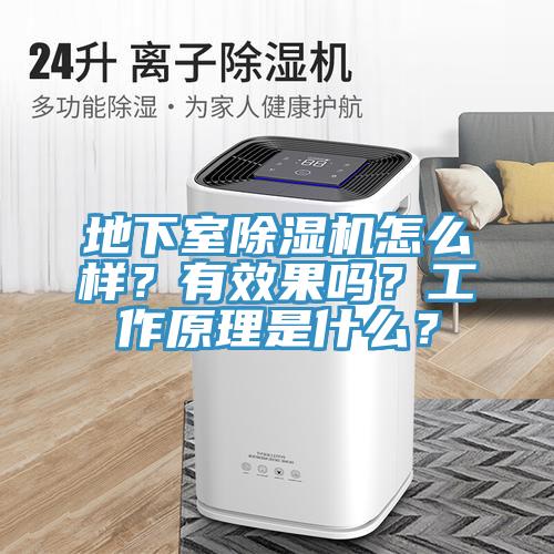 地下室除濕機怎么樣？有效果嗎？工作原理是什么？