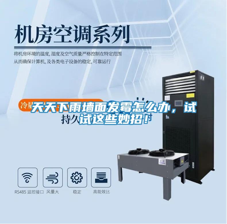 天天下雨墻面發霉怎么辦，試試這些妙招！