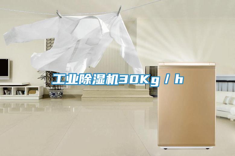 工業除濕機30Kg/h