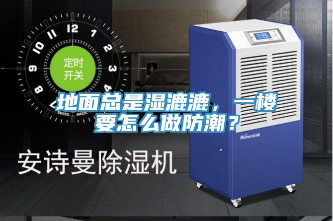 地面總是濕漉漉，一樓要怎么做防潮？