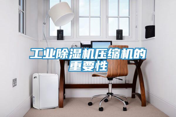 工業除濕機壓縮機的重要性