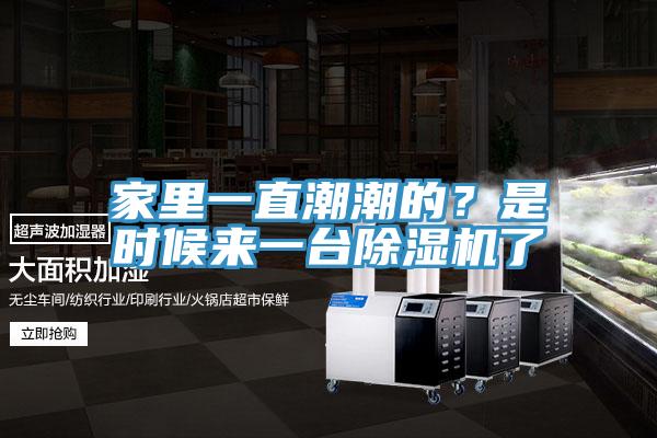 家里一直潮潮的?是時候來一臺除濕機了