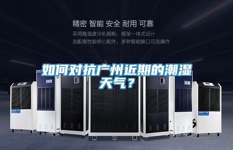 如何對抗廣州近期的潮濕天氣？
