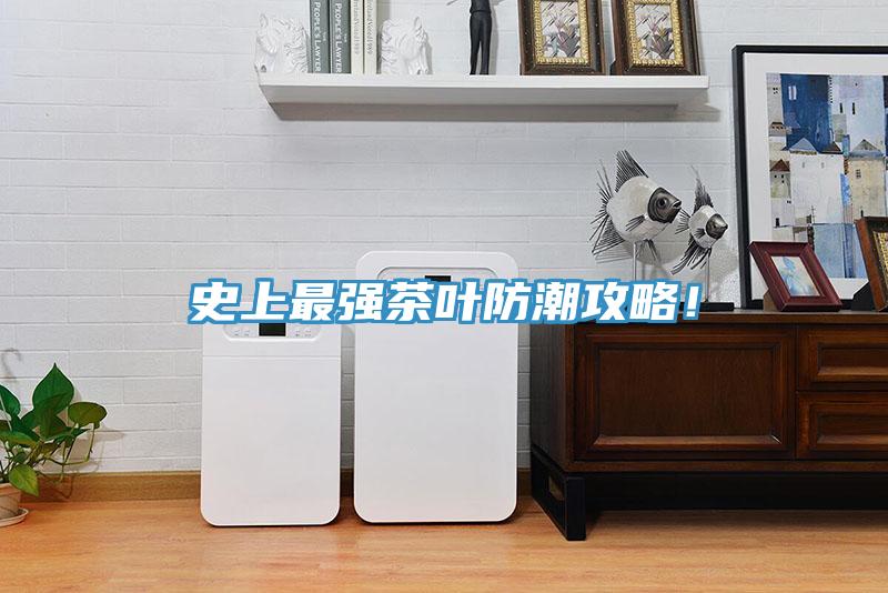 史上最強茶葉防潮攻略！