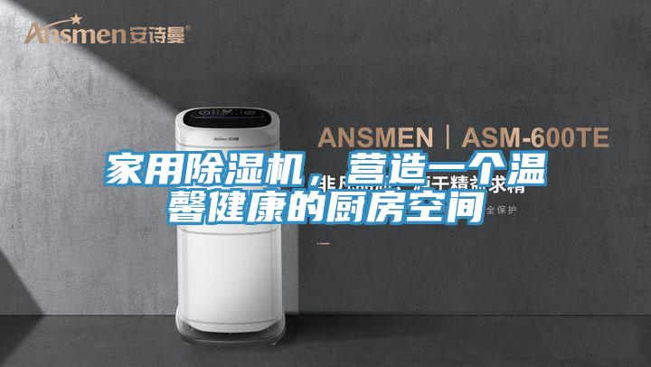 家用除濕機，營造一個溫馨健康的廚房空間