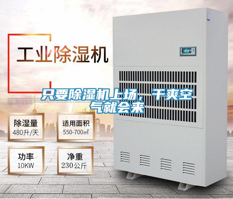 只要除濕機上場，干爽空氣就會來