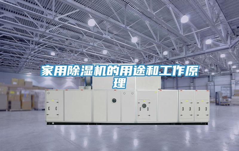 家用除濕機(jī)的用途和工作原理