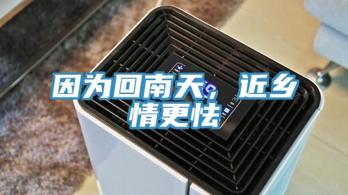 因?yàn)榛啬咸欤l(xiāng)情更怯