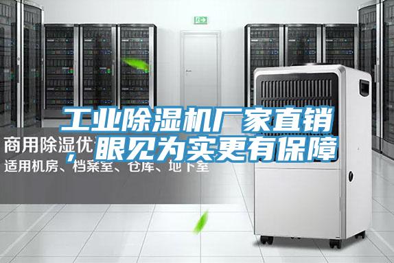 工業除濕機廠家直銷,眼見為實更有保障