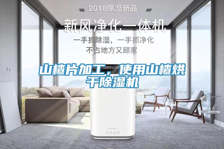 山楂片加工，使用山楂烘干除濕機