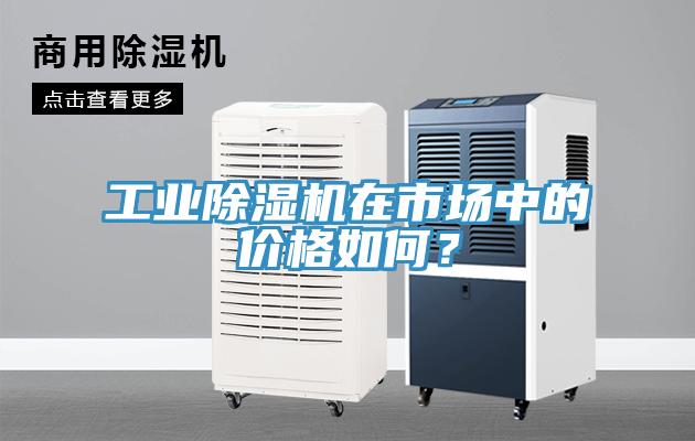 工業除濕機在市場中的價格如何？