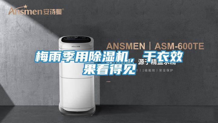 梅雨季用除濕機，干衣效果看得見
