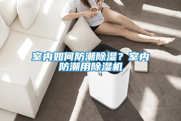 室內(nèi)如何防潮除濕？室內(nèi)防潮用除濕機