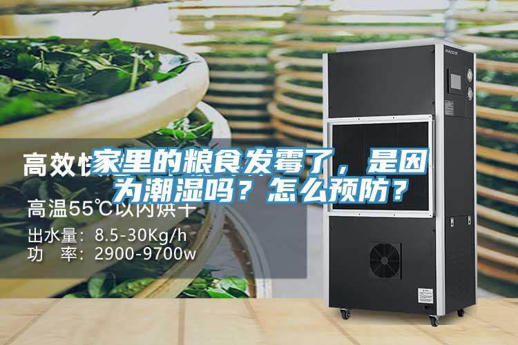 家里的糧食發霉了，是因為潮濕嗎？怎么預防？