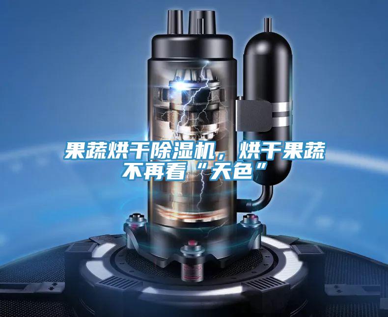 果蔬烘干除濕機，烘干果蔬不再看“天色”
