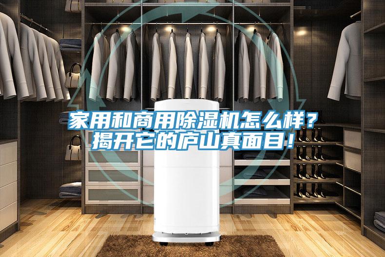 家用和商用除濕機怎么樣？揭開它的廬山真面目！