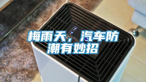 梅雨天,汽車防潮有妙招