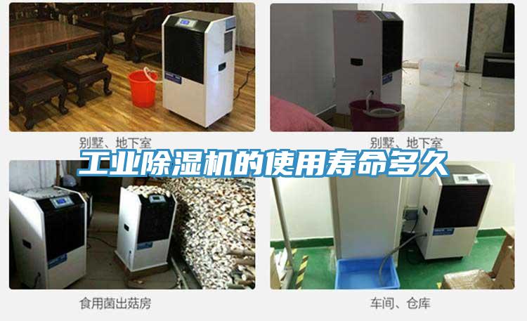工業(yè)除濕機的使用壽命多久