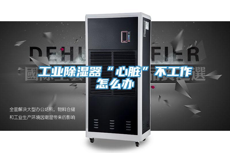 工業(yè)除濕器“心臟”不工作怎么辦