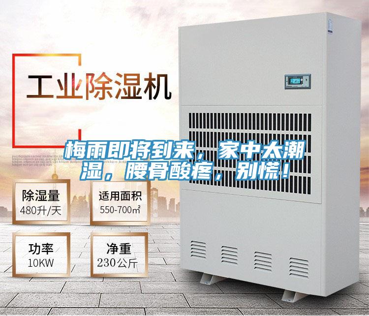 梅雨即將到來,家中太潮濕,腰骨酸疼,別慌!