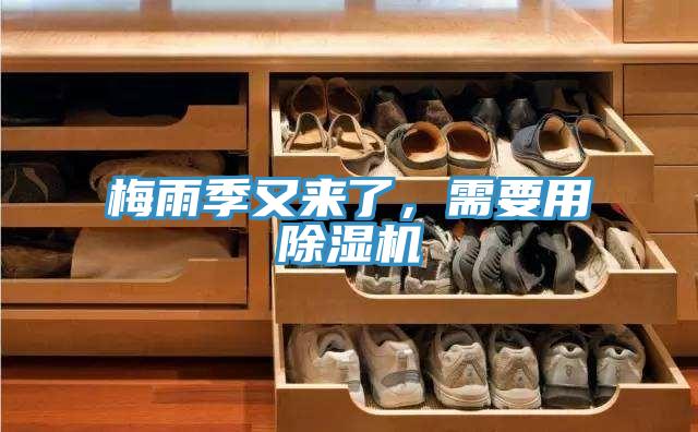 梅雨季又來了,需要用除濕機