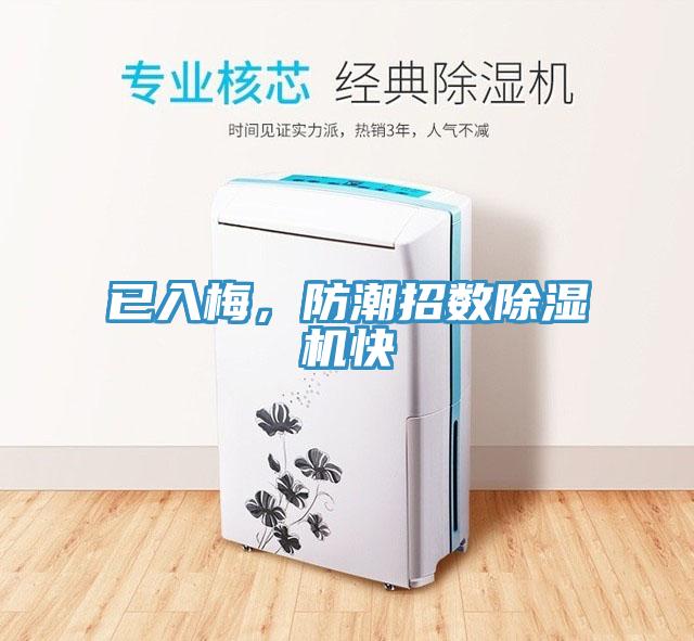 已入梅，防潮招數除濕機快