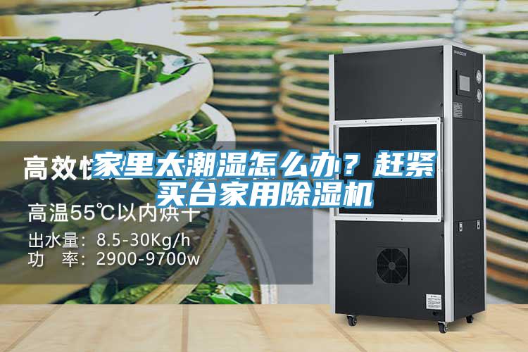 家里太潮濕怎么辦？趕緊買臺家用除濕機