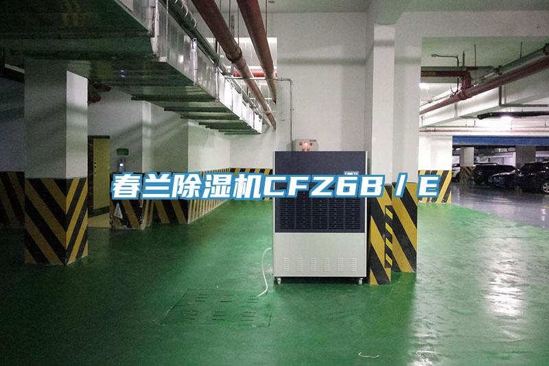 春蘭除濕機CFZ6B/E
