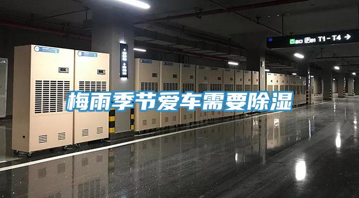 梅雨季節愛車需要除濕